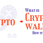 What Is a Crypto Wallet and How Does It Help to Store Your Wallet Safely