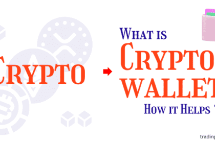 What Is a Crypto Wallet and How Does It Help to Store Your Wallet Safely