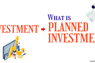 What is Planned Investment