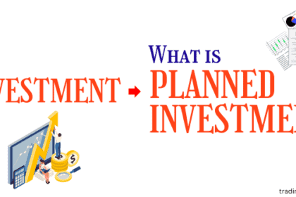 What is Planned Investment