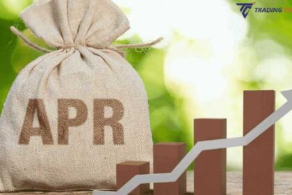 Why Luminaries Are Obsessed With Annual Percentage Rate