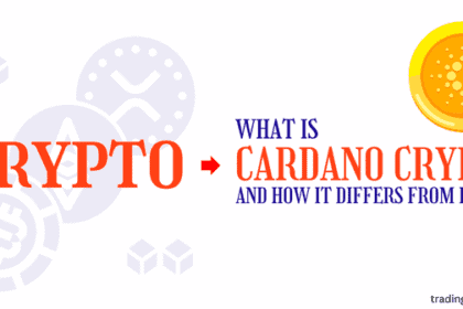 What is Cardano Crypto, How Does It Differ from Bitcoin?