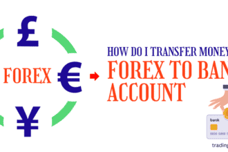 6 Steps to Transfer Money From Forex to Bank Account?