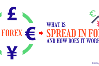 Beginner Trader - What Is Spread in Forex?