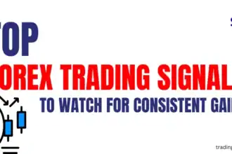 Top forex trading signals