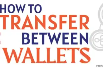 How to transfer between wallets