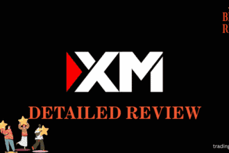 XM detailed review