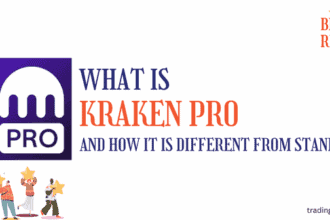 What is kraken pro